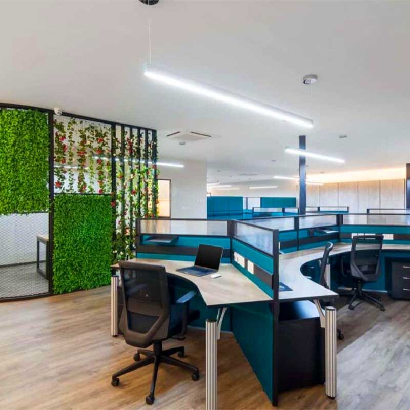 Renovation and beautification of offices